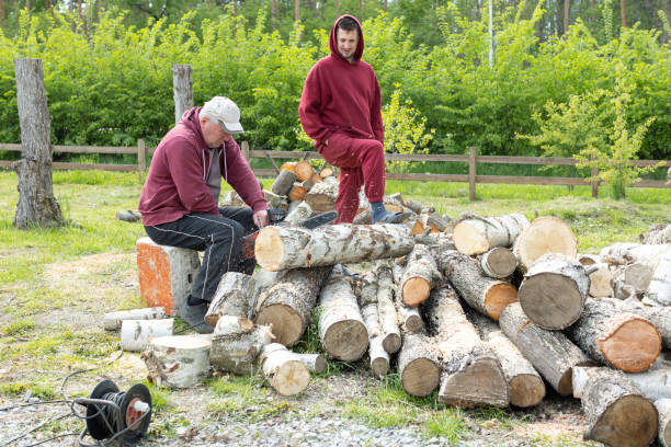 istock Men sawing logs for firewood in the countryside. 1492929193