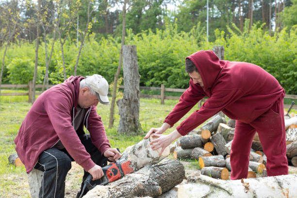 istock Men sawing logs for firewood in the countryside. 1492929462