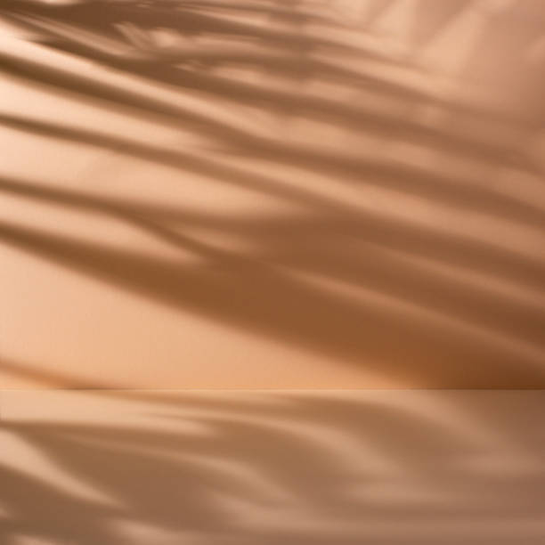 istock Pastel coral abstract background with palm leaves shadow 1492931593