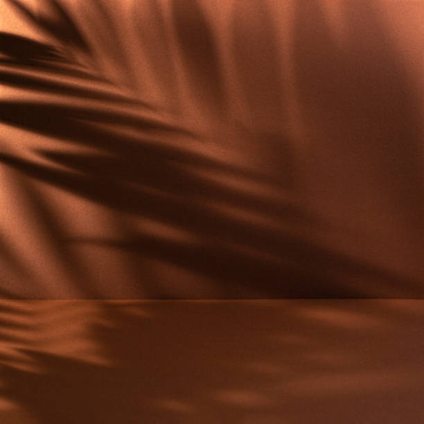 Brown-orange paper backdrop with palm leaves shadow.