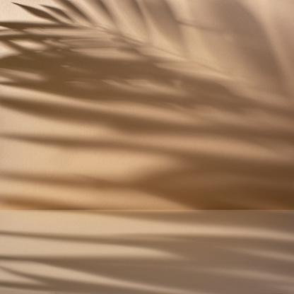 Warm beige backdrop - wall and floor with palm leaves shadow.