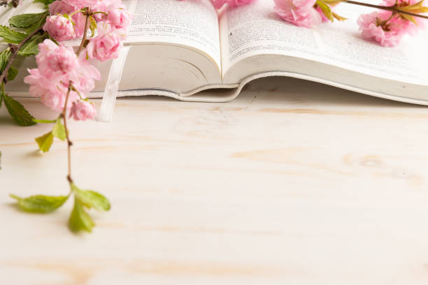 istock Open bible and pink blossoms 1492942984