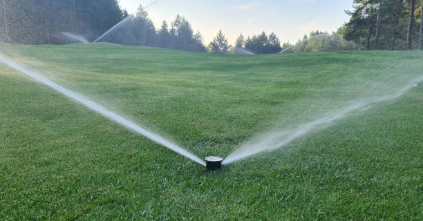 istock Irrigation system golf course. Water sprinkler irrigation of green grass field 1492943218