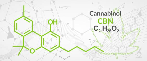 illustrazioni stock, clip art, cartoni animati e icone di tendenza di formula chimica strutturale molecolare di cannabinolo o cbn. sfondo scientifico futuristico. concetto di farmacologia - science botany chemistry formula