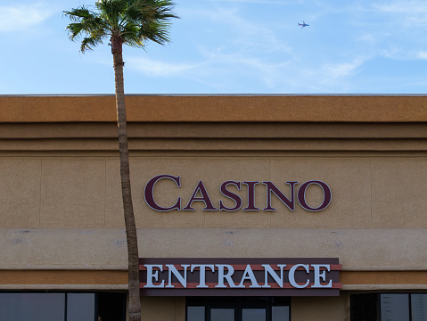 Casino entrance door ans palm tree