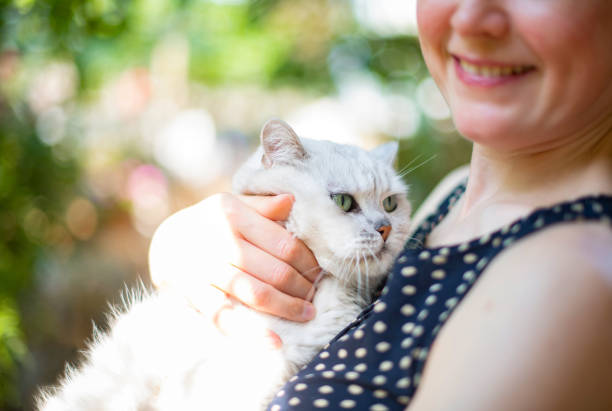 istock Young Woman and Her Beautiful Cat 1492960485