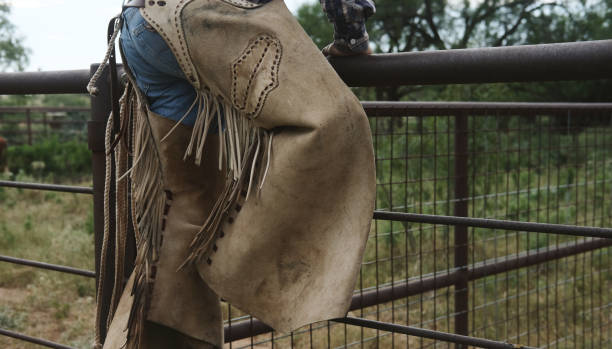 istock Cowboy in chaps on ranch for western industry 1492967023