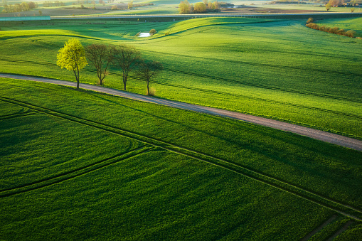 Aerial landscape of the green fields in northern Poland at spring time.