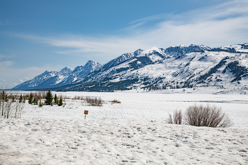 View of Teton range across the length of Jackson Lake in  Wyoming's Yellowstone Ecosystem in west USA, North America.