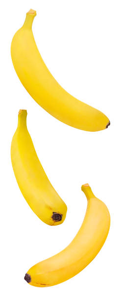 Bananas yellow, falling, hanging, flying, soaring, isolated on white background