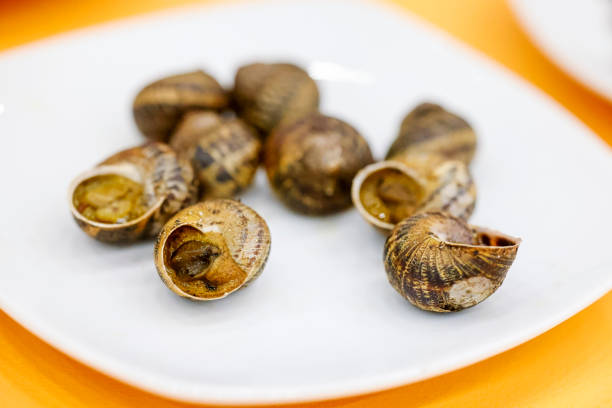 istock Caracoles, mexican food 1492975494