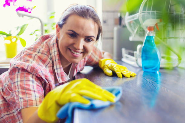 istock Housewife in yellow gloves wipes dust using spray detergent and rag 1492989934