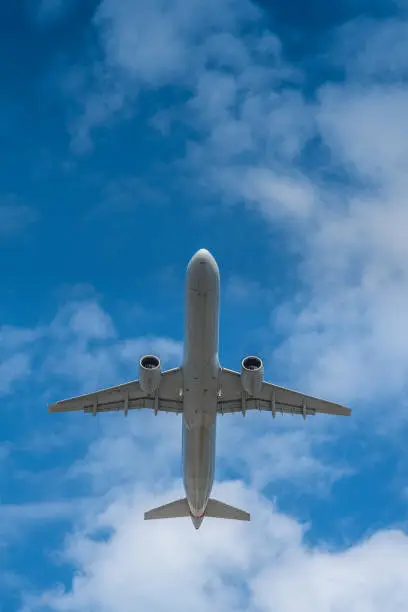 An Airbus A321 taking off from Miami International Airport. This Airbus is a member of the Airbus A320 family of short to medium range, narrow-body, commercial passenger twin engine jet airliners.