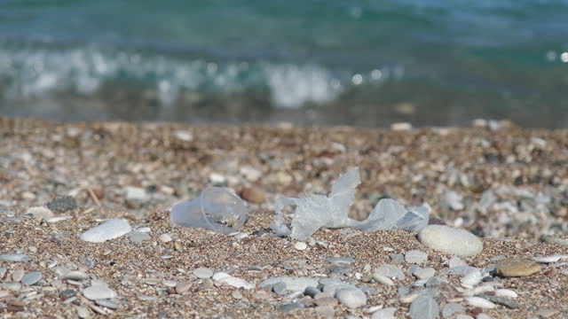 Plastic trash on the sandy beach. Nature pollution concept. Disposable plastic on the coastline.
