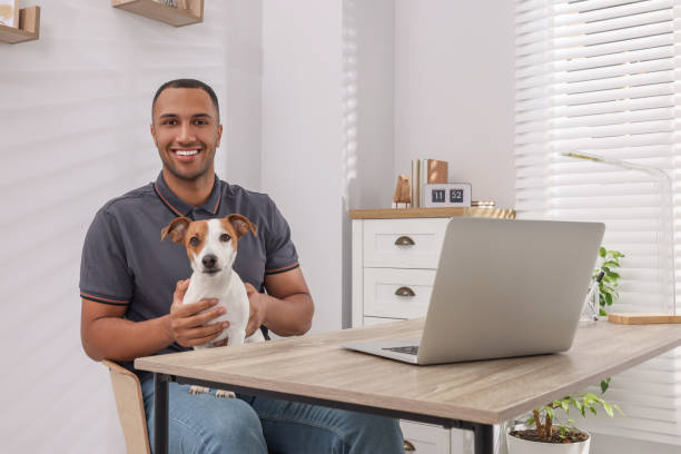 istock Young man with Jack Russell Terrier at desk in home office 1493009206
