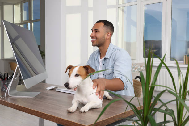 istock Young man with Jack Russell Terrier working at desk in home office 1493009774