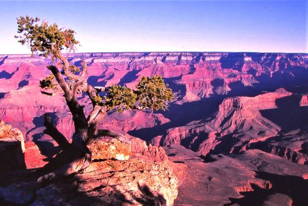 istock Point Solitude - Grand Canyon NP - AZ 1493011412