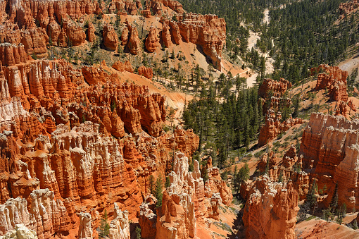Scenic view of amazing red sandstone hoodoos in Bryce Canyon National Park in Utah, Unated States