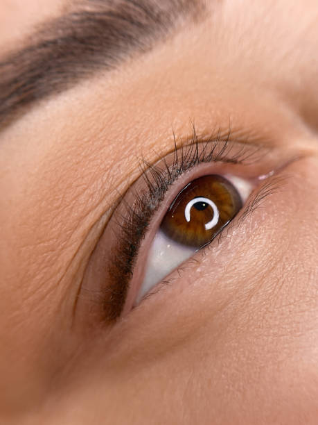 istock permanent make up , close up woman eye beautiful 1493020726
