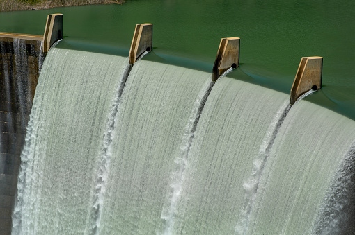 A picturesque view of a dam releasing a powerful stream of water through a river and into a lush, green forest surrounded by tall trees