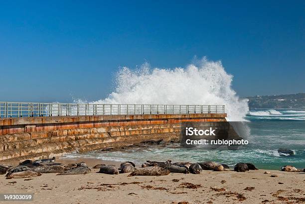 Breaking Wave In La Jolla Stock Photo - Download Image Now - Bay of Water, Beach, Beauty In Nature