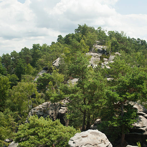 istock green trail on the rocky 149303733