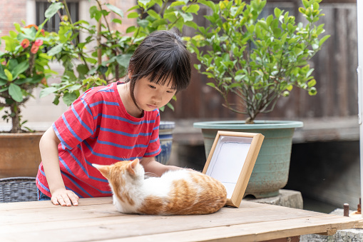 An Asian little girl petting a pet cat on the table