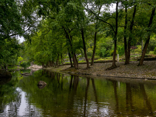 istock Zhongcun Scenic Area in Yuyao 1493041615