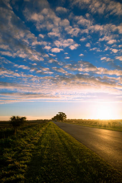 istock Pature fields in Argentina Road and blue sky 1493057362