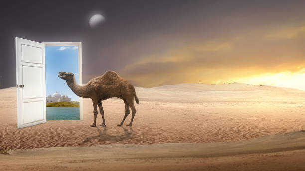 istock Camel crossing the desert with mosque 1493059382
