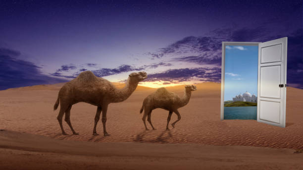 istock Camel crossing the desert with mosque 1493059385