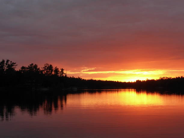 vivid orange sunset with pine forest silhouette on Georgian Bay Ontario