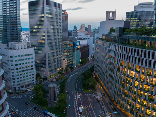 istock Early evening in Osaka. Aerial view 1493064661