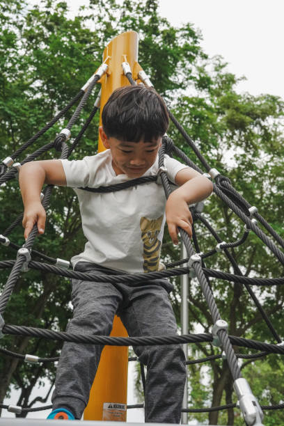 istock Boy is climbing on a playground equipment. 1493066835