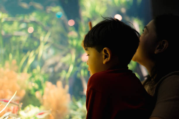 istock Mother and Child boy watching under the sea. 1493068441