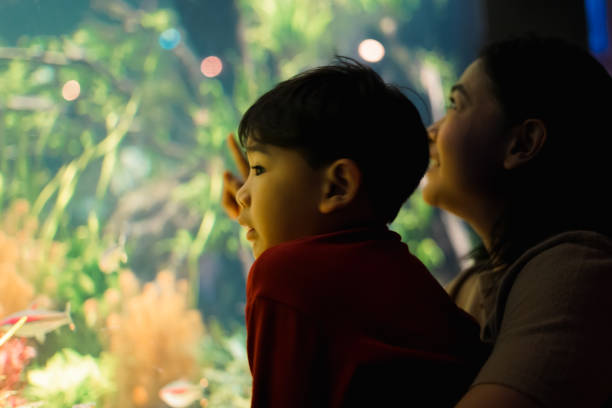 istock Mother and Child boy watching under the sea. 1493068447