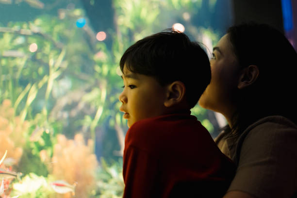 istock Mother and Child boy watching under the sea. 1493068452