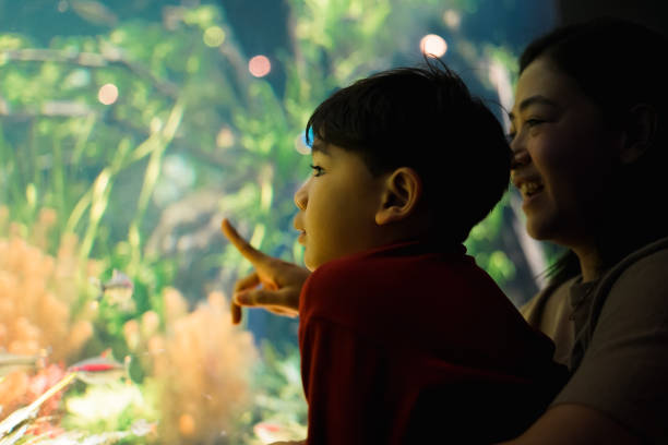 istock Mother and Child boy watching under the sea. 1493068453