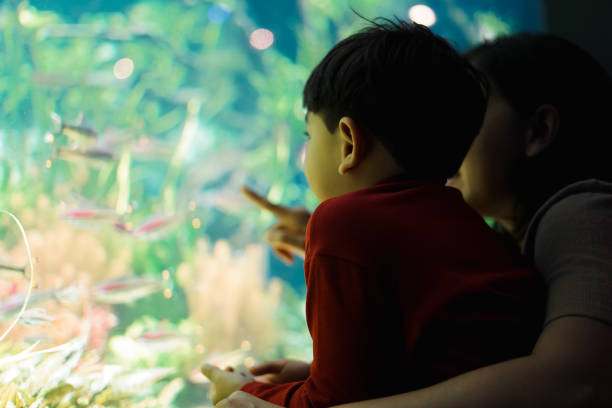 istock Mother and Child boy watching under the sea. 1493068461