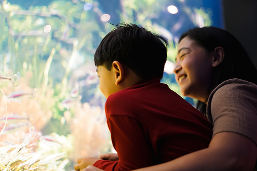 Mother and Child boy watching aquatic animals under the sea.