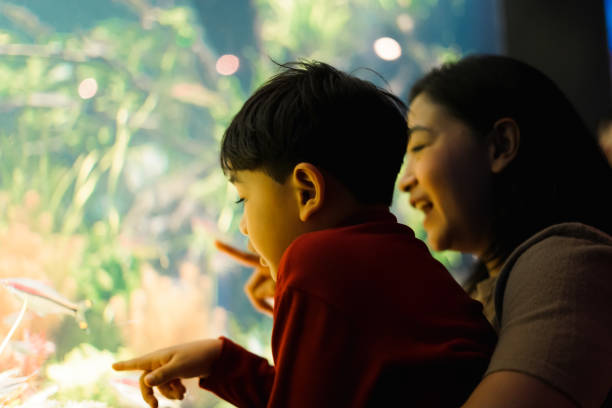 istock Mother and Child boy watching under the sea. 1493068472
