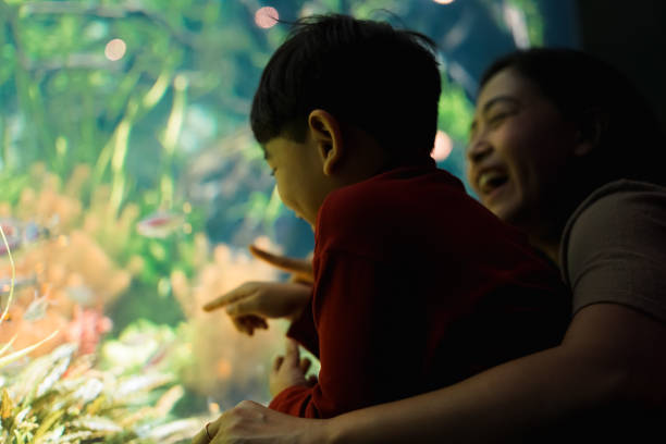 istock Mother and Child boy watching under the sea. 1493068475