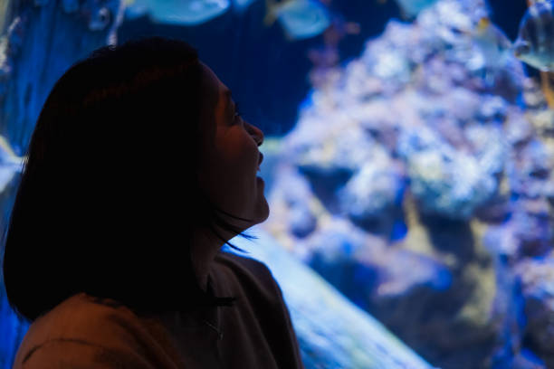istock Women See aquatic animals 1493068508