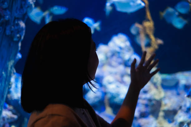 istock Women See aquatic animals 1493068509