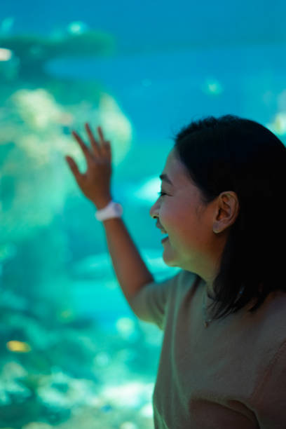 istock Women See aquatic animals 1493068523