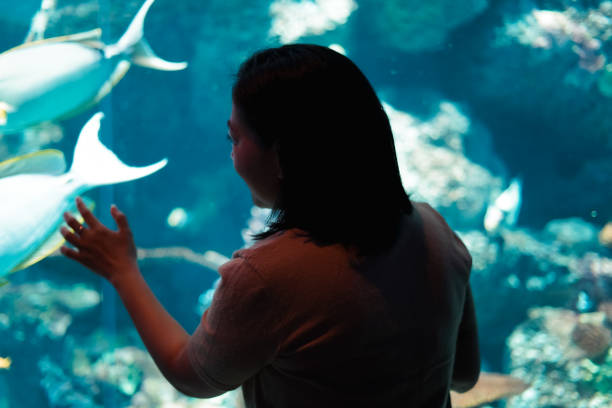 istock Women See aquatic animals 1493068532