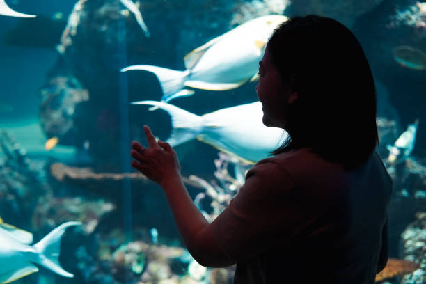 istock Women See aquatic animals 1493068534