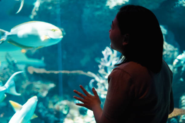 istock Women See aquatic animals 1493068537