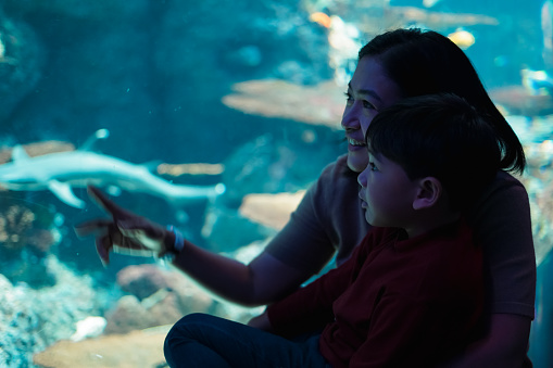 Mother and son watching aquatic animals under the sea.