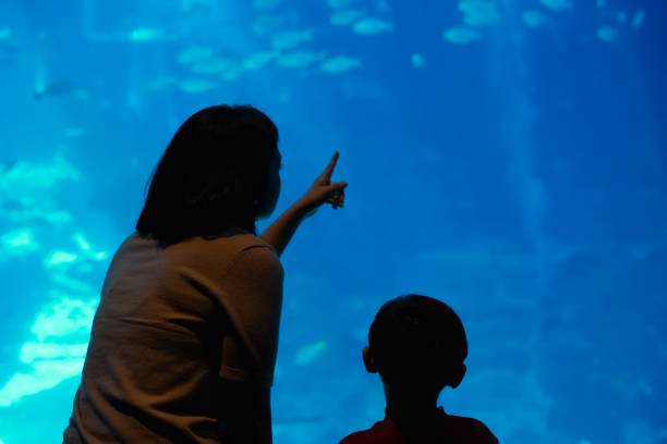 istock Mother and son watching under the sea. 1493068560